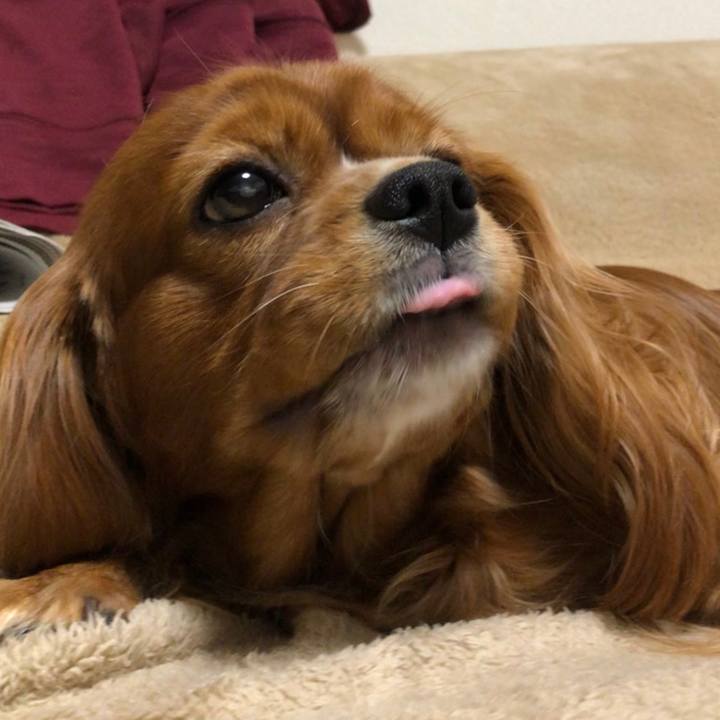 08795563 14e8 4aa9 a1e3 932b74e0fe4b 1603111826525