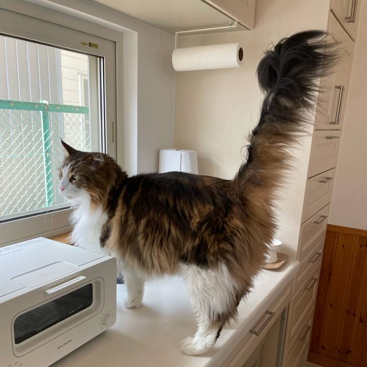 0879562e a1da 416a 9407 bc7f447bdf8c 1717922630498