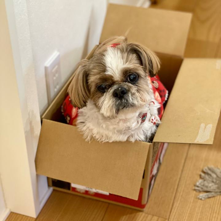 087956cf fcd2 45f9 ab46 519bca1bda92 1673255184243