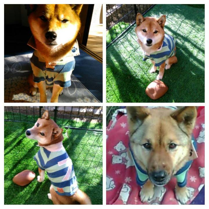 0879c7a5 5eaa 4d1a 9e36 f4ebf9eedf1a 1515732747862