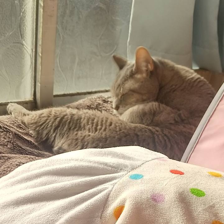 0879f765 423a 40eb a0a4 1166a6c1c3c4 1672531091292