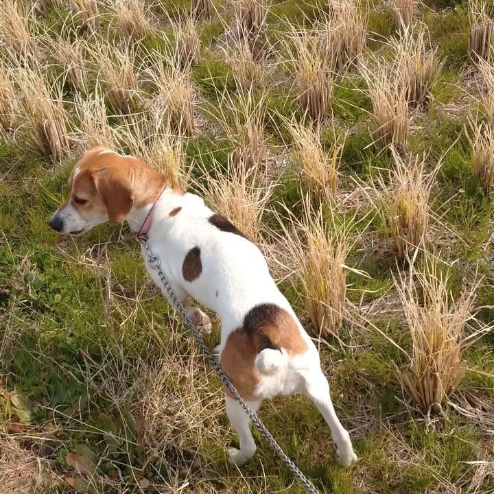 087a2d82 80b7 42b4 ace2 c1d21aa7628e 1580713444685