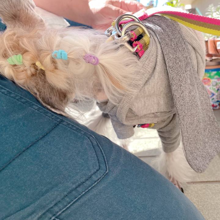 087a39f4 a8dc 42cf 9ed3 edf0ba01acb7 1760088423520