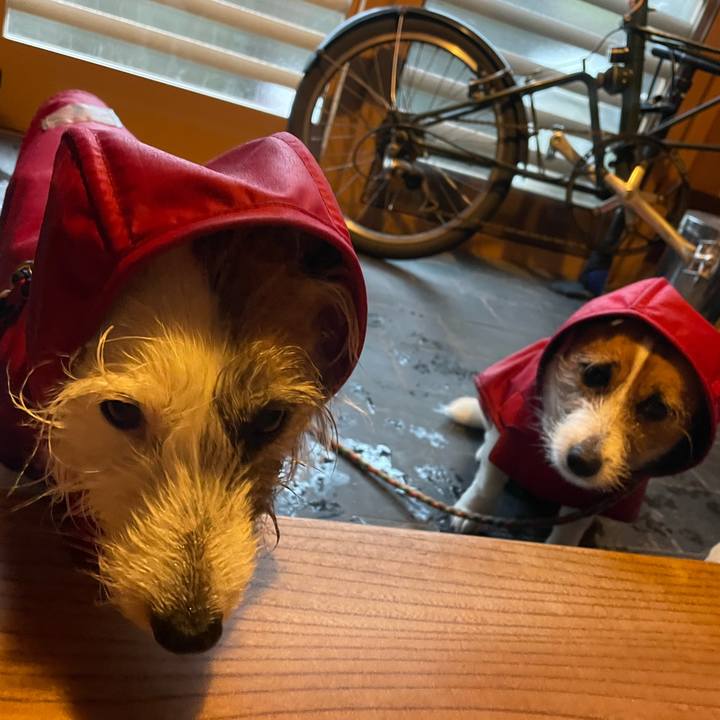 087a4836 7046 4498 96ef 33e549f09c83 1742337362452