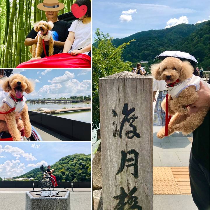 087a6024 5f66 411c 8993 8a2da1caf8a2 1598343038900