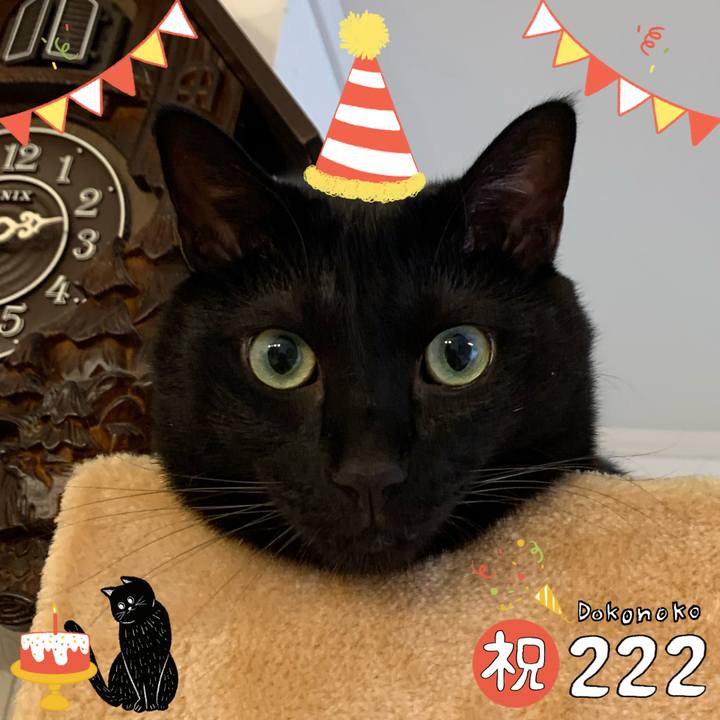 087a8056 648f 44db 9e63 2e91ec015dbf 1645508149500