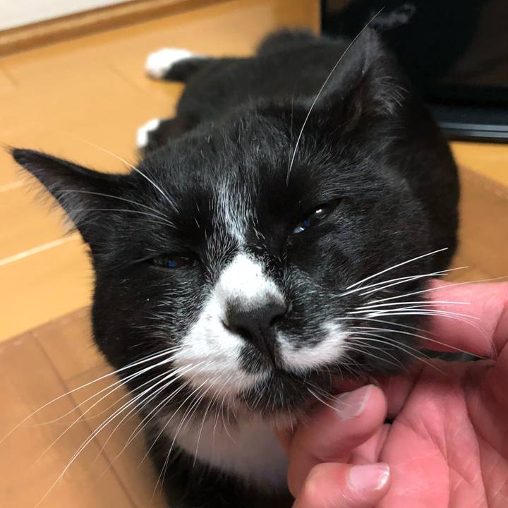 087aaed6 9817 43f3 86aa 9774fe87b152 1518148073960