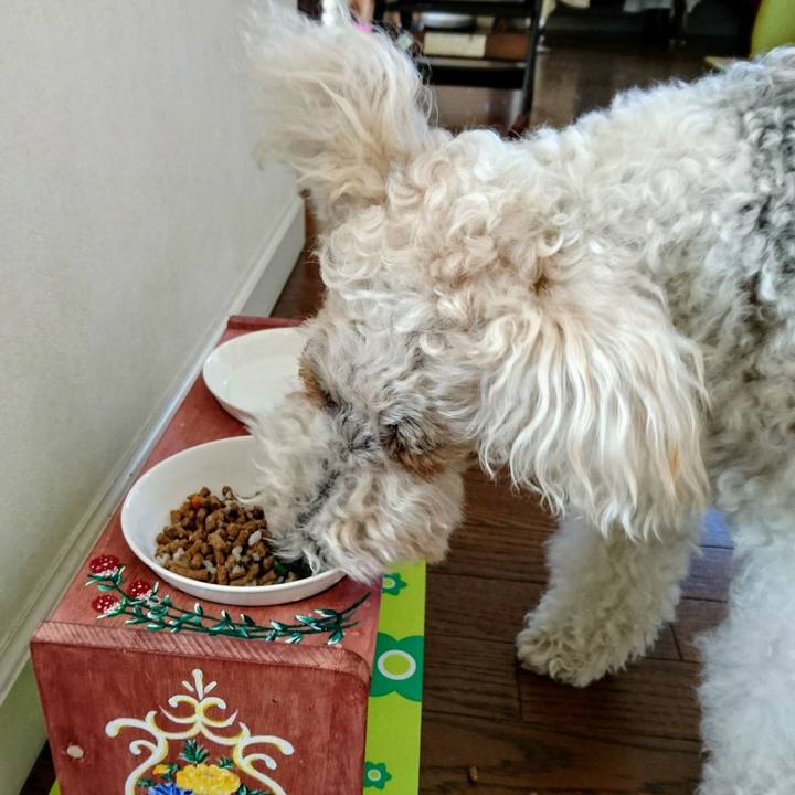 087acf56 02c0 400b abc4 5d526f0854ea 1558045461246