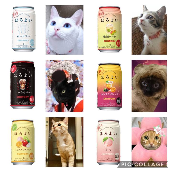 087b14eb 0675 4acd 90ce 43a58a66f2a7 1588044694789