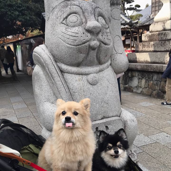 087b7587 064d 41e5 a599 fc034d1fce1b 1610114304356