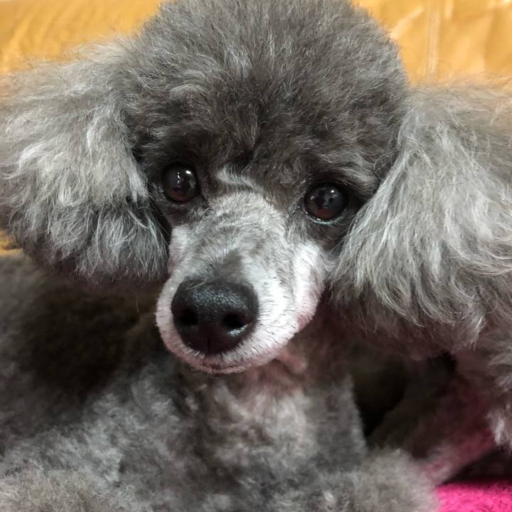 087b809b 81a4 40d4 b0a4 a17551d28488 1525699450956