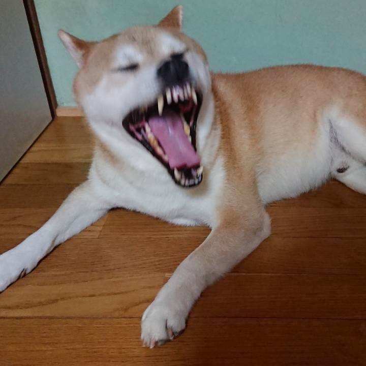 087b8c01 63e3 461d 8f52 341bbdc6bdd7 1562424782812
