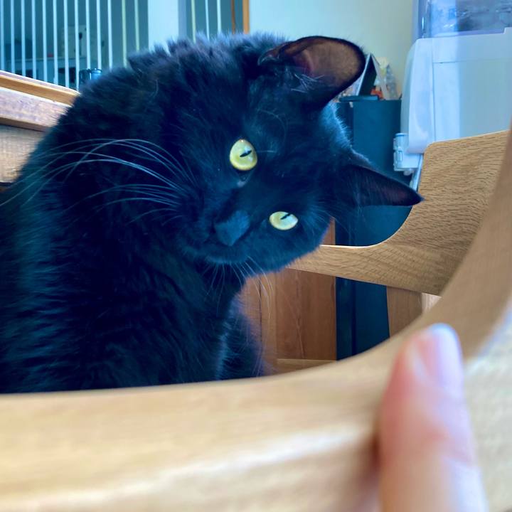 087b902d 0b2b 443e b4fb 2771665d26a5 1730874626276