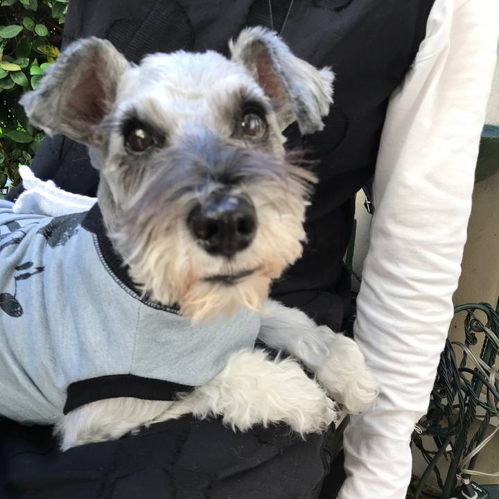 087bb1ab 108e 4b7c 8db9 369937cf72a4 1540014625978