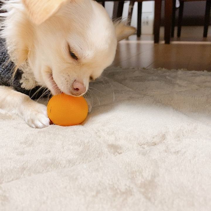 087bbdb7 ede2 4f74 8bc0 8e153e0c43e0 1610721977173