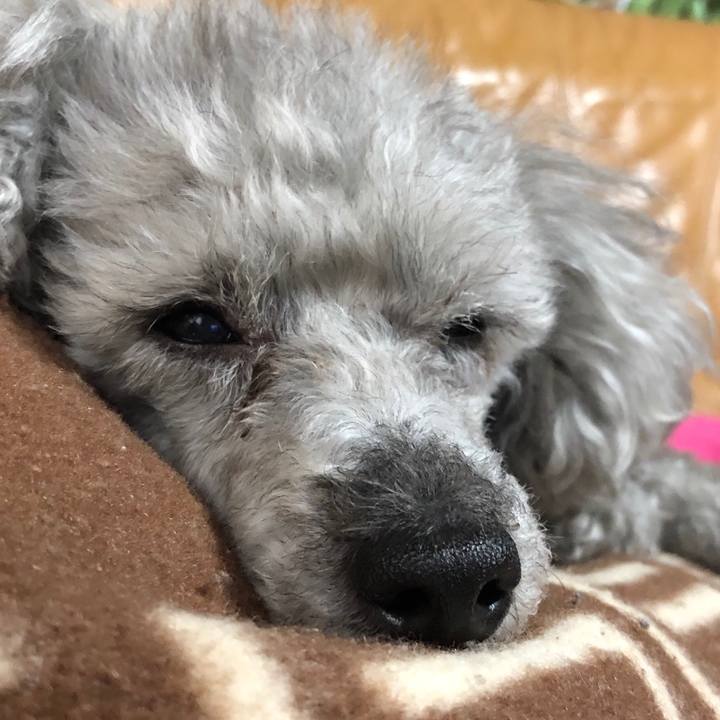 087bbff2 a3b1 4a09 8ae6 fa470842c4e1 1556107156045