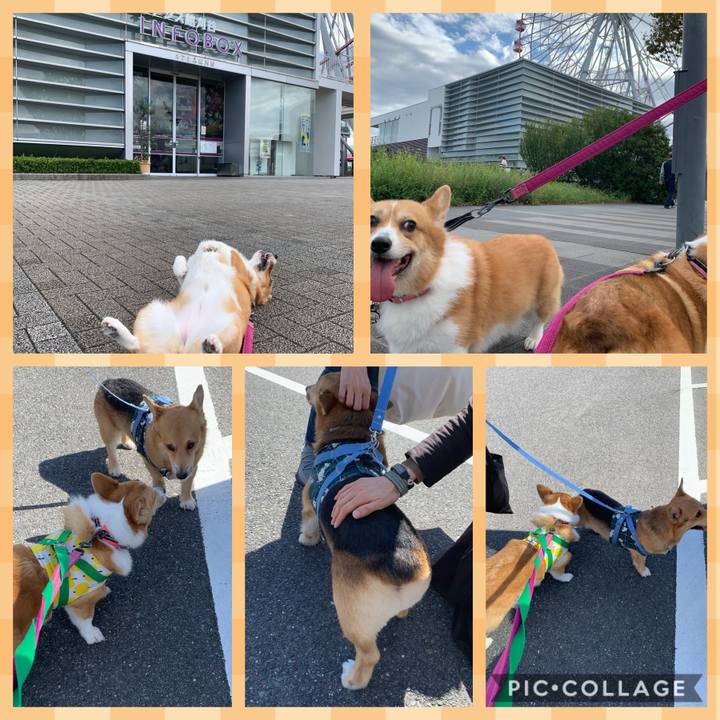 087bd9f4 7de0 44d4 957f f1c12c7ec825 1571358566377