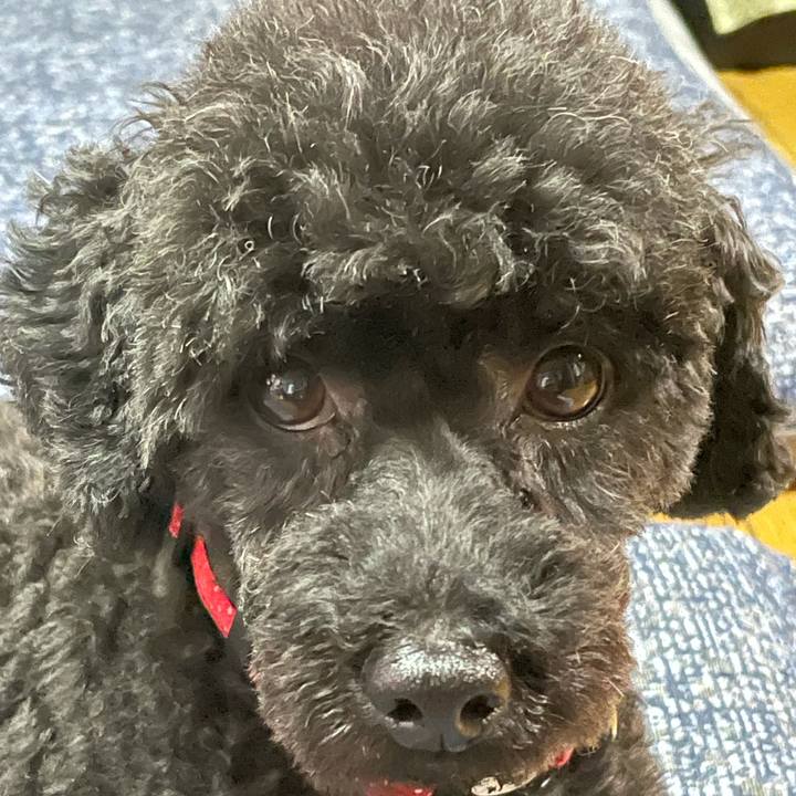 087bf498 79ca 4d72 bee8 d9d5021a9cd2 1630732664594