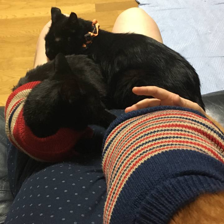 087c1d17 e417 4344 bc34 b9d68b9a1509 1539695996473