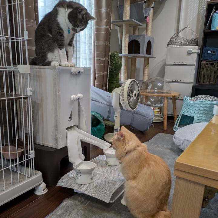 087c71df 4a6b 42b6 a5eb bca61e5f5736 1725781396980