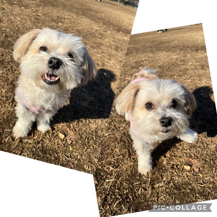 087c81d3 4eeb 4413 886c b756c7eb6051 1768019485558