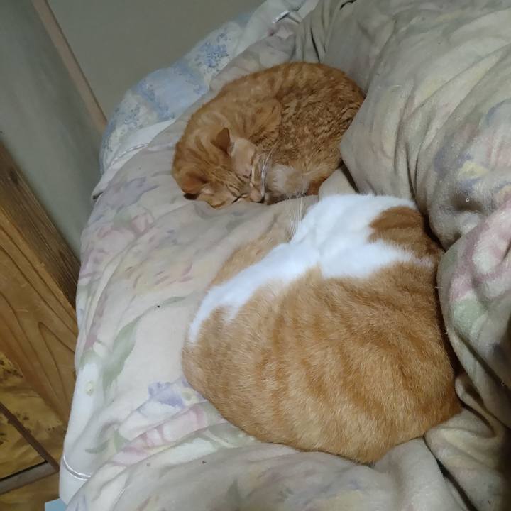 087c8569 c6ca 4ae2 9a1c 6dba41bdf627 1772195126960