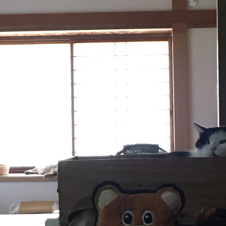 087ce13f b1ee 4dea 9b08 82e1f9db37f3 1533367545074