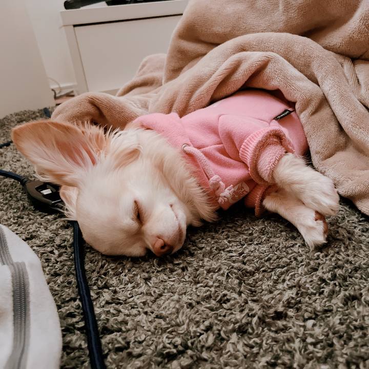 087d33a3 2771 4488 a3b7 6626472e3675 1675409868095