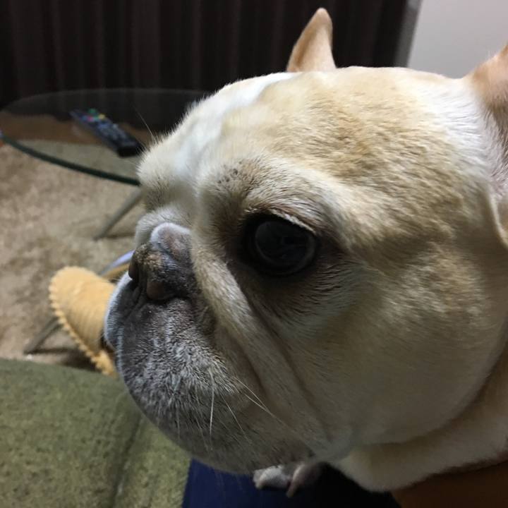 087d3571 d3a3 4911 a7e1 76271fc14df9 1513157098146