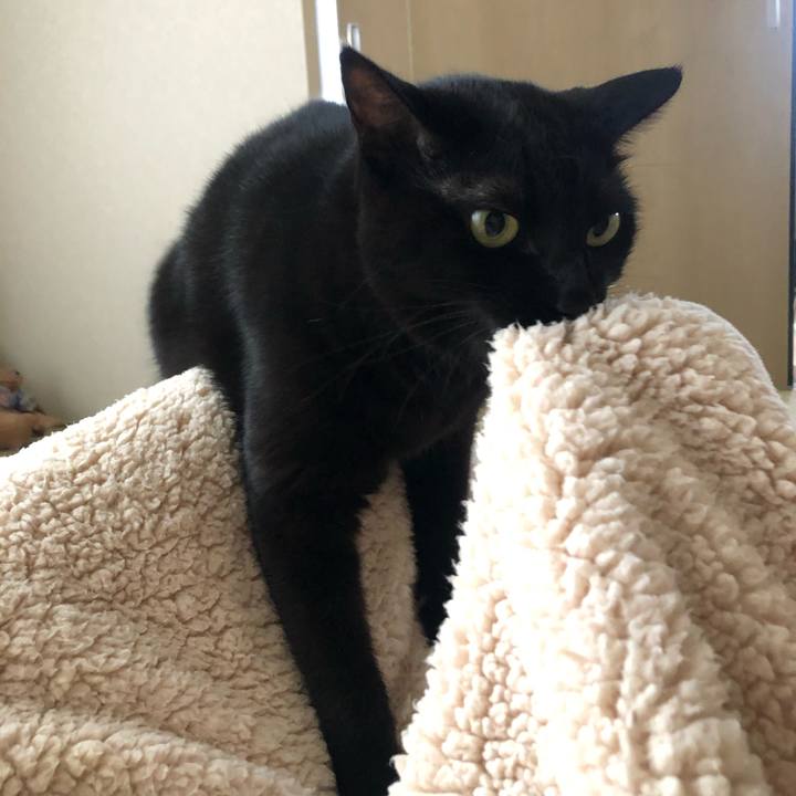 087d5317 26dd 4cfb a3f5 1e7ac0828127 1601249764781