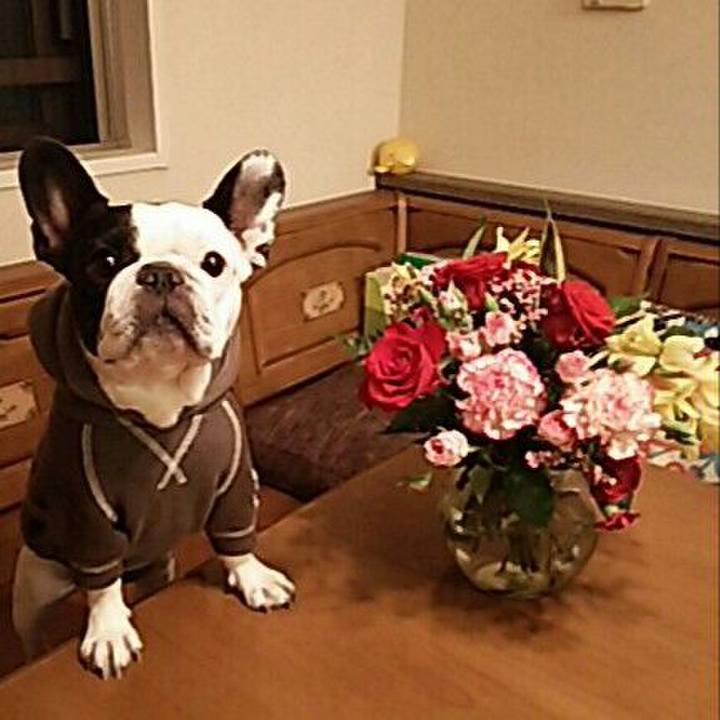 087d59e4 e42a 4ddd be5b 565c79883273 1510284195445