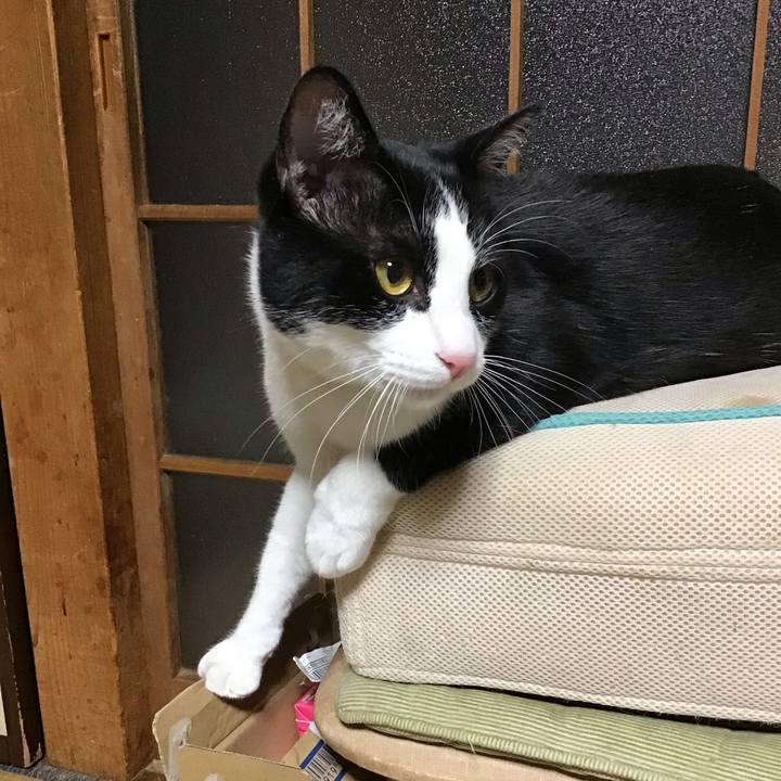 087dbcd8 565c 4920 887b 5ca7c95445c4 1652529606978