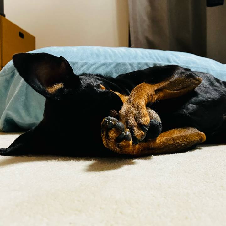 087dbf88 41f1 4b54 9499 1fb33e5fd231 1771371973588