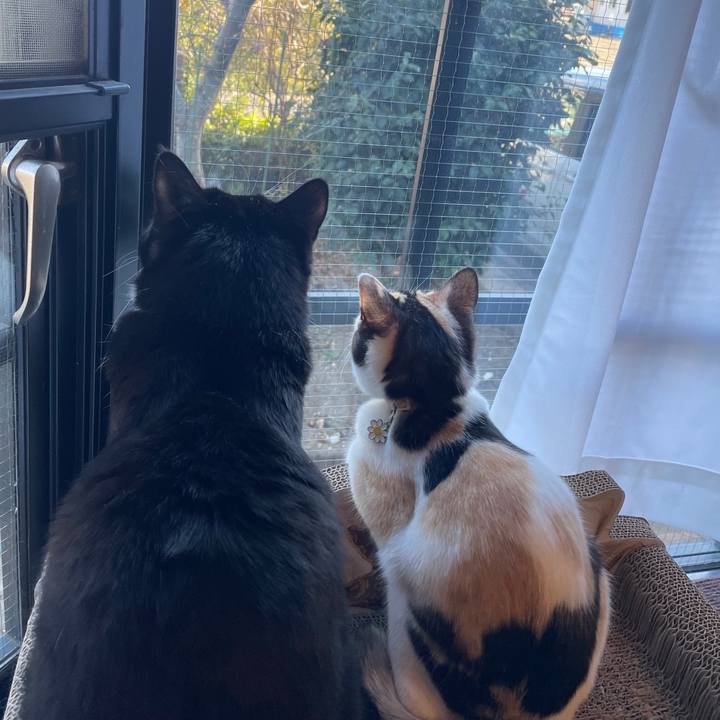 087df288 85b8 4398 97ee 99803c5dc00a 1674971588096