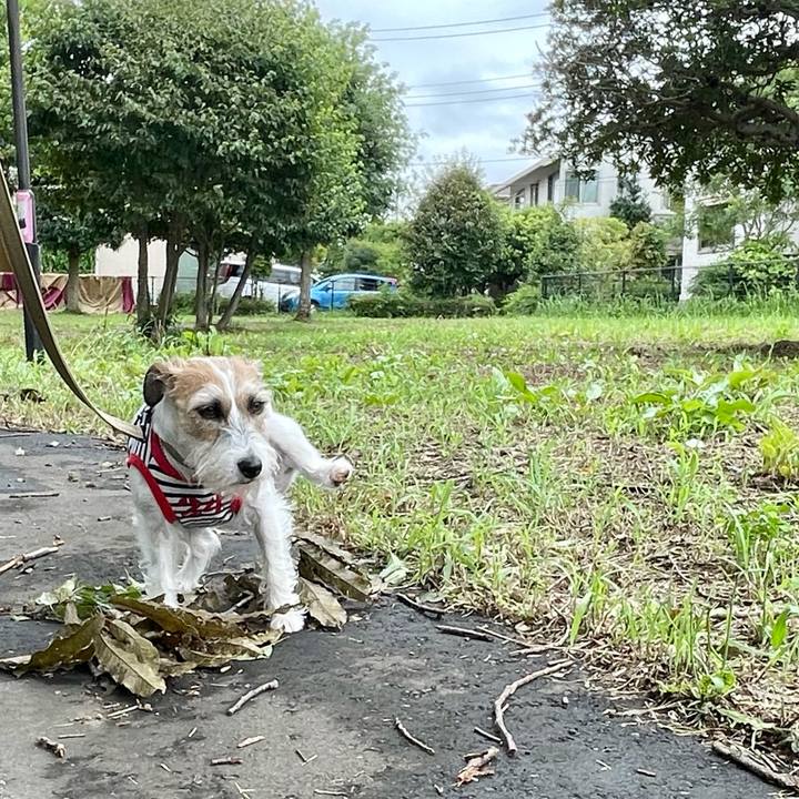 087e1459 d20e 451a 9aed 7af6ada87679 1629088040133