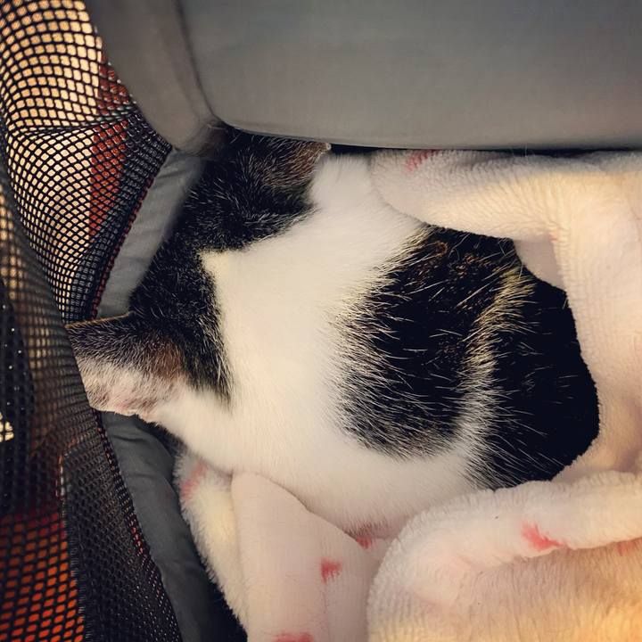 087e2bb7 1d22 45cb a518 4639546720fc 1614163576984