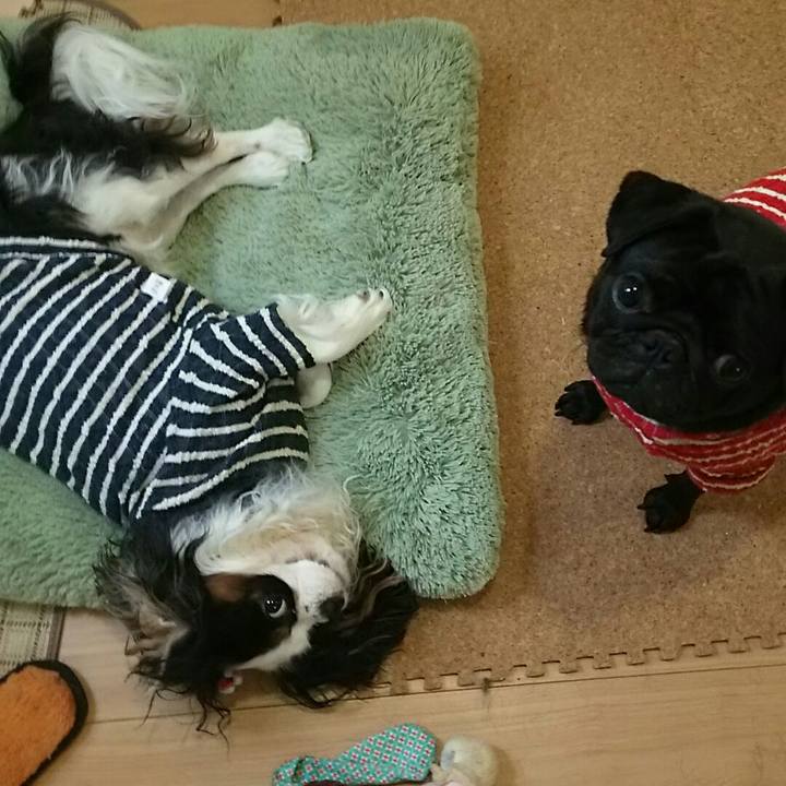 087e5c15 701d 4d7a a1bc 302dadf4a9bf 1540788564091