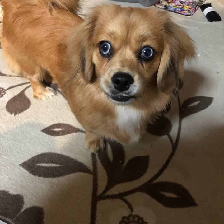 087eeea8 7ab6 440d 9b09 bd932826032f 1512078052791