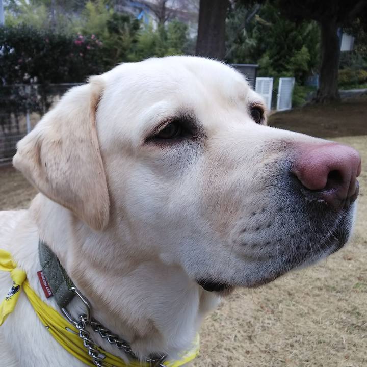 087ef306 c8bf 4f19 ba80 f91fce4a5e6e 1550215542077