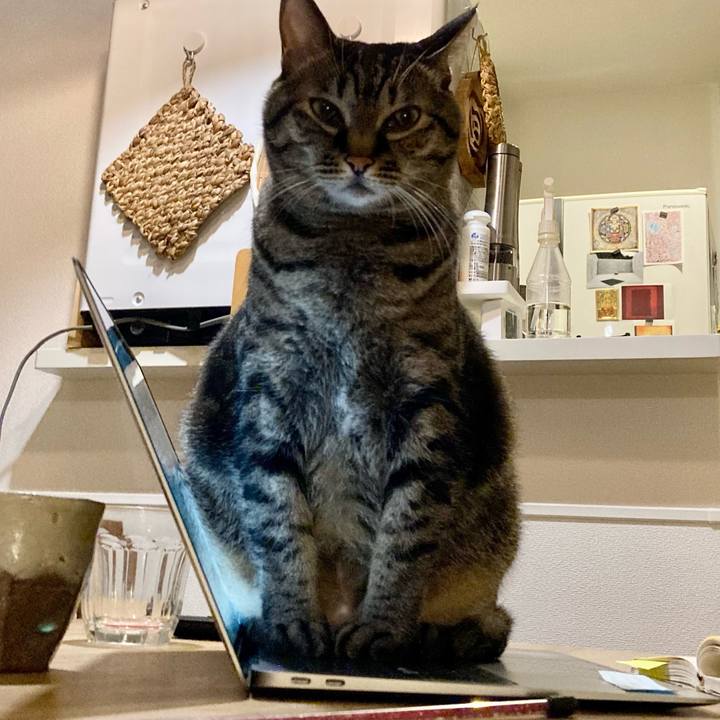 087efc4a b26c 4de5 838a 3bdb3e7490a1 1696143040536