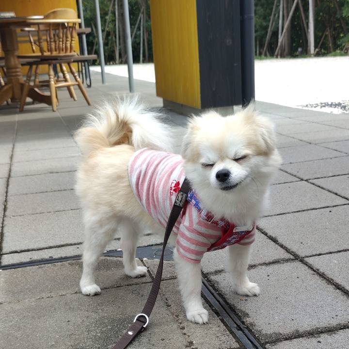 087f0b65 023b 48f5 b24e cdcf37b3f644 1758291007924