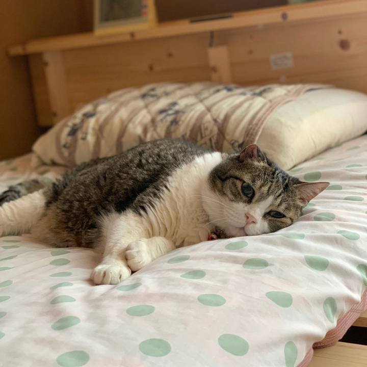 087f1446 ee39 4b80 9729 14a2b08acaef 1752216862424