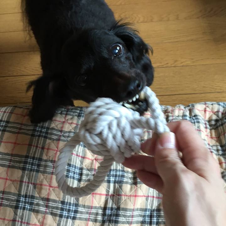 087f3d65 b9a1 4c6f 9fa1 31a48fbd8b82 1539209281950