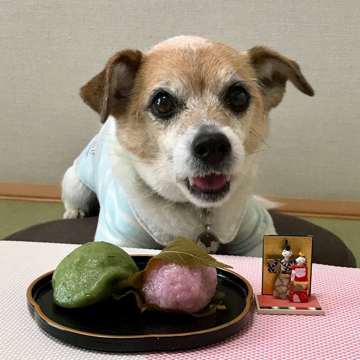 087f4f16 1eb8 4da9 a4d5 d158a6ac1fe0 1646287360341