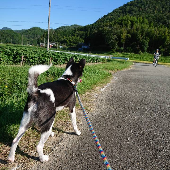 087f7a9c d36b 465e 8b58 9fc9e0b3309a 1567986003570