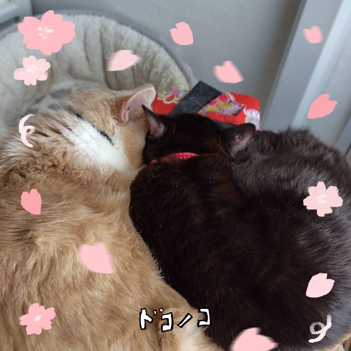 087f7cdb 1cf3 4a48 92ca 3f335c3f51fd 1744426418181