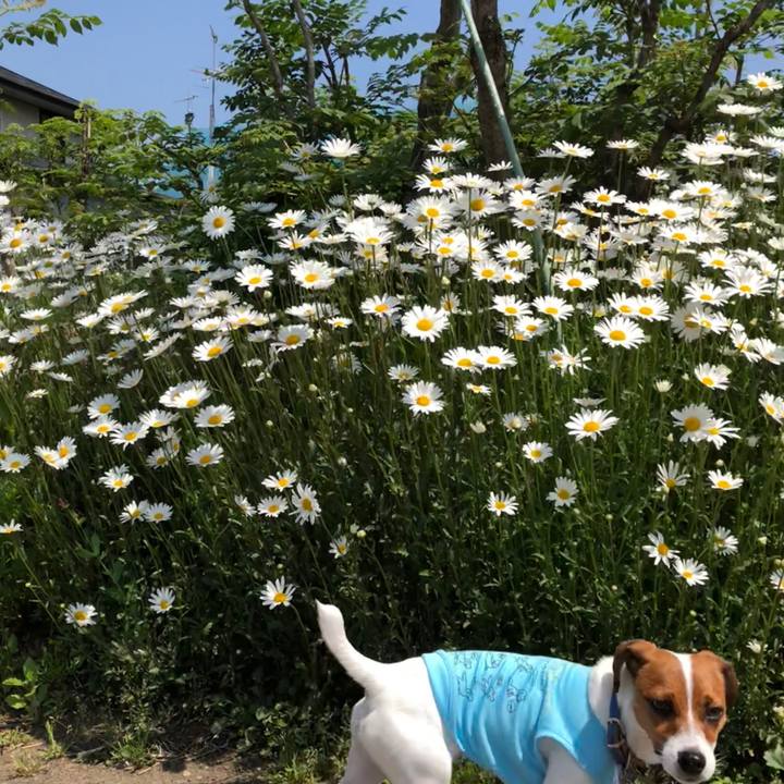 087f8329 9fe2 45a8 8483 39c70e1128f4 1527478080106