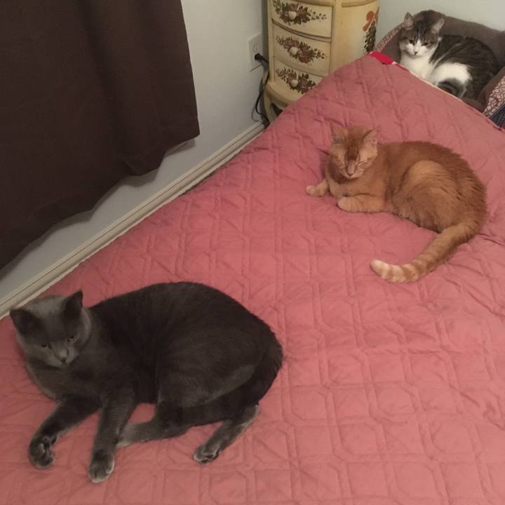 087f9634 9465 41d0 b90b ada3c6c8a6d6 1691467286594