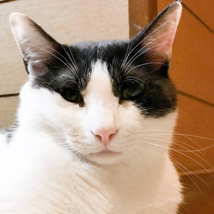 087f9c59 7b0b 4c4f a1ea 518fa6422a7a 1530929958926