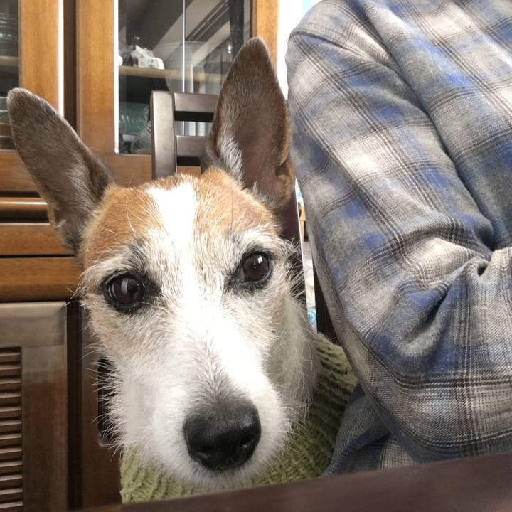 087f9d06 2deb 441a aac0 4da99b52f48f 1643239610044